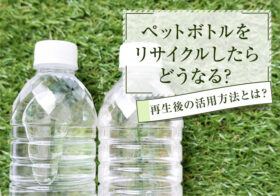 ペットボトルをリサイクルしたらどうなる？再生後の活用方法とは？