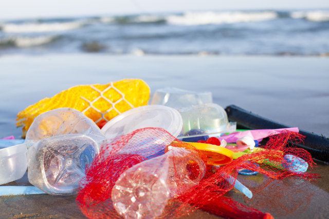 海洋プラスチックごみ問題