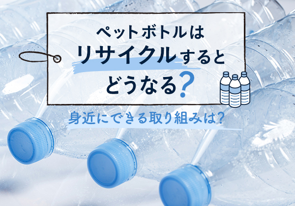 ペットボトルはリサイクルするとどうなる？身近にできる取り組みは？