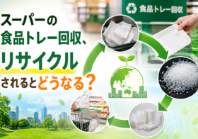 スーパーの食品トレー回収、リサイクルされるとどうなる？